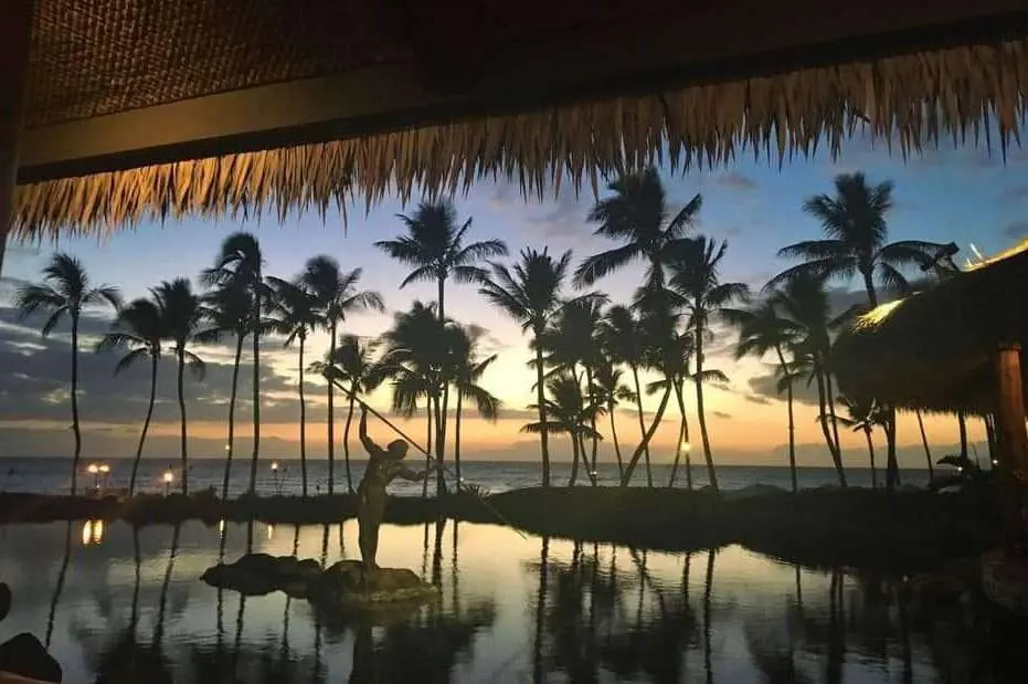 Palm trees at night