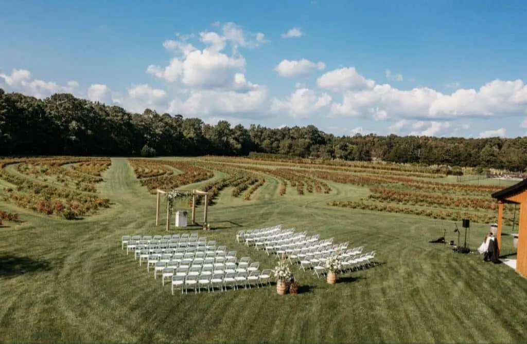 Sunset Flower Farm