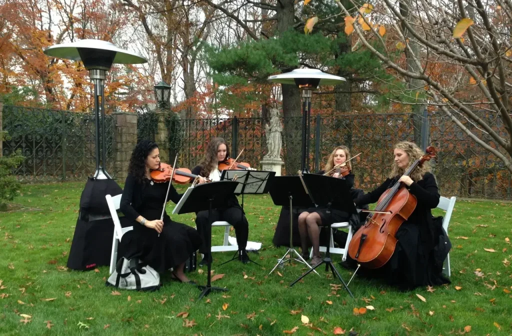 1500563366944-stringquartet1115